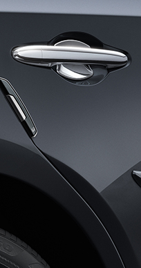 Honda Amaze Utility Kit - DOOR HANDLE PROTECTOR