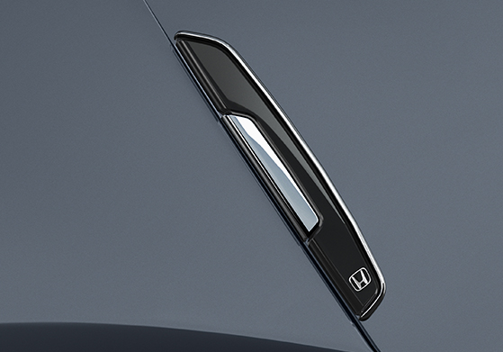 Honda Amaze Utility Kit - DOOR EDGE GARNISH