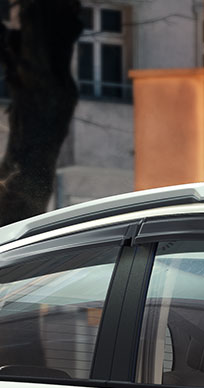 WRV Accessory - Door Visor